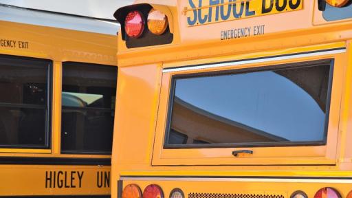 Back of two school buses