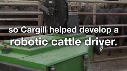 Play Video: Robotic Cattle Driver