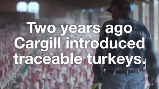 Play Video: Traceable Turkeys