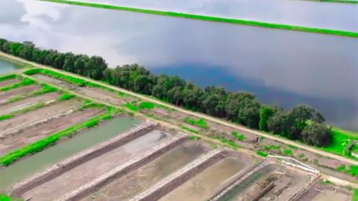 Play Video: iQuatic Software