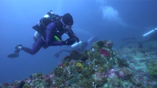 B-Roll Footage of Indonesia