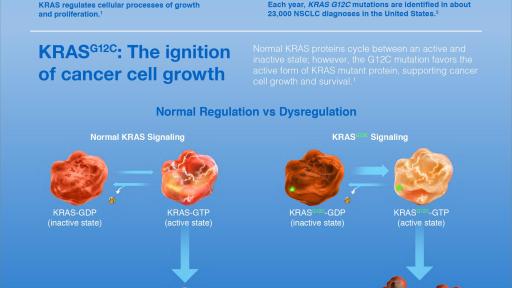 KRAS Infographic Fact Sheet