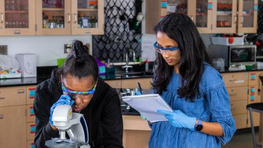 LabXchange brings the experience of working and learning science in a lab straight to students. Through virtual lab experiments, high-quality videos and online collaboration with others in the global science community, students can experience the scientific process for themselves.