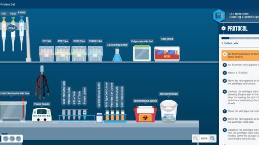 LabXchange gives students access to a library of world-class educational videos, interactive simulations and personalized instruction to aid them in their scientific discovery.