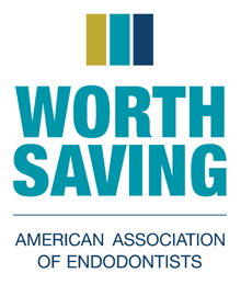 American Association of Endodontists