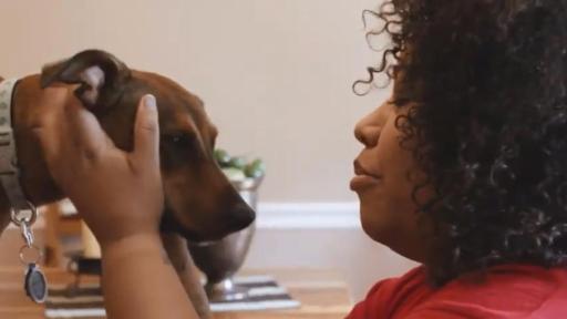 Play video: Renee & Turtle