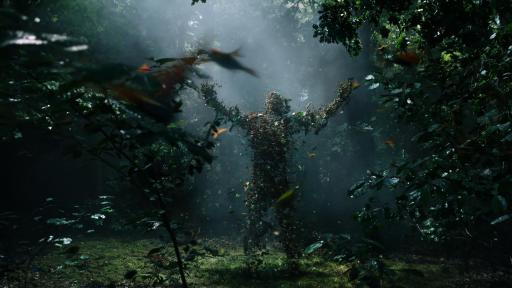 A plant apparition in a forest