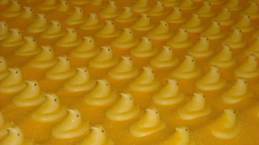 Peeps Chicks