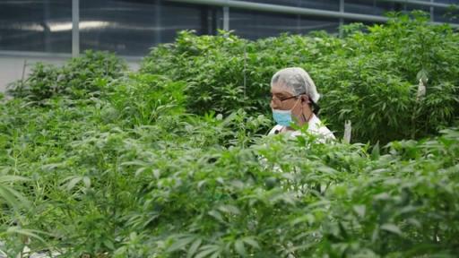 Play Video: Facilities BRoll