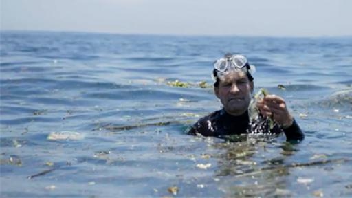 Play Video: Plastic Dive