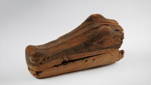 Wood carving of an alligator head