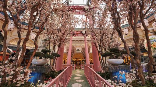 Image of the Bellagio Conservatory - Spring 2019