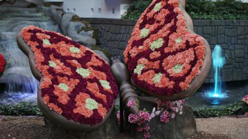 Image of the Bellagio Conservatory - Spring 2019