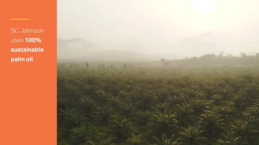 SC Johnson prioritizes environmental protection in its sourcing of materials.