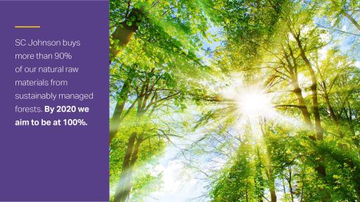 By 2020, SC Johnson will source 100% of its raw materials from sustainably managed forests.
