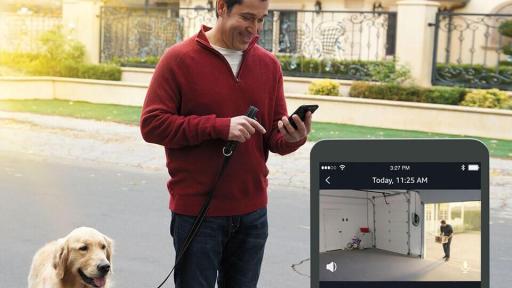 A man walking his dog looks at his iPhone.