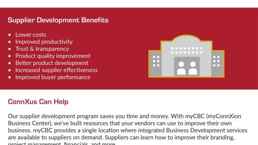 Supplier Development