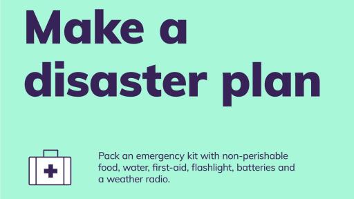 Disaster Infographic