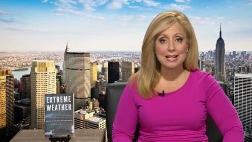 Bonnie Schneider Tips :42