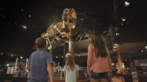 Play Video: Explore Montana’s Dinosaur Trail