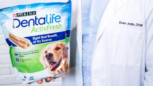 Evan Antin with DentaLife product