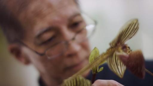 Play Video:  Bread Away From Cancer | :15 Video