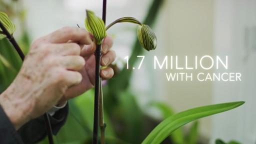 Play Video: Bread Away From Cancer | :30 Video