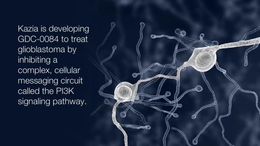 Kazia is developing GDC-0084 to treat glioblastoma