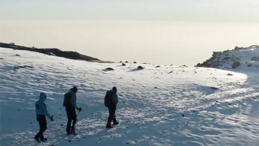 Play Video: Courtney