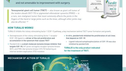 Daiichi Sankyo Turalio Factsheet