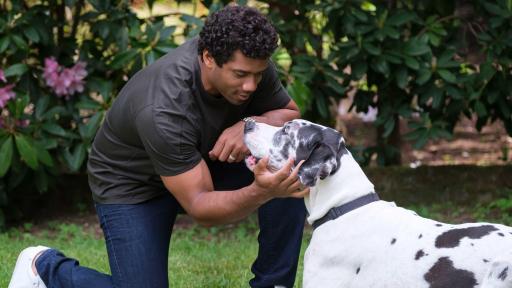 Pro football champion and pet advocate Russell Wilson plays with his dog Naomi while filming the Safer Together™   public service announcement (PSA) with the Banfield Foundation on Wednesday, May 15, 2019, in Redmond, Wash. The PSA will launch nationally ahead of National Domestic Violence Awareness Month to help raise awareness that pets, too, are often victims in homes where domestic violence occurs. Each year, millions of domestic violence victims stay in abusive situations because they fear for the safety of their pet, and with less than 10% of domestic violence shelters welcoming pets, too many lives remain at risk. (Stephen Brashear/AP Images for the Banfield Foundation)