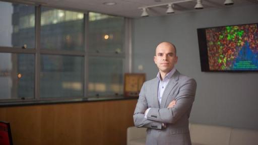 &ldquo;LLS funding has really transformed the field of hematopoietic malignancies. We&rsquo;re attempting to target stress response in pediatric T cell leukemia, and LLS funding will let us develop genetic tools and test combinations that will hopefully lead to a future clinical trial.&rdquo;