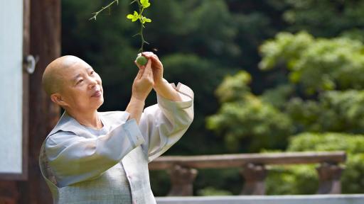 Ven. Jeong Kwan, a master in Korean Temple food, introduced it in the Netflix series