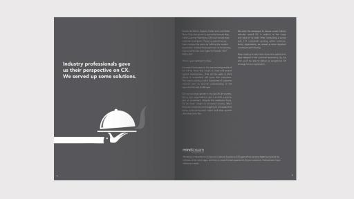 Industry professionals gave us their perspective on CX. We served up some solutions.