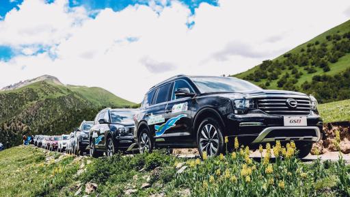 Play Video: The Biodiversity in Three-River-Source National Park