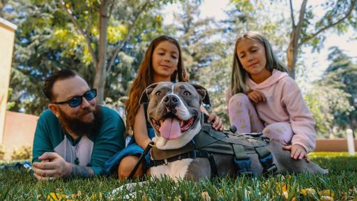 David, a Marine veteran is seen here with his daughters Sadie and Alathea alongside his service dog, Katie, a Staffordshire terrier mix who was rescued after being hit by a car. David graduated from Tony La Russa's Animal Rescue Foundation (ARF) Pets and Vets program, which is partnering with Purina Dog Chow for its second annual “Service Dog Salute” campaign.