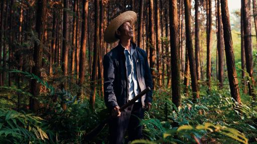 Mr. Qi stands in a forest