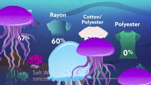 Play Video: Cotton Inc. Microfiber Animation
