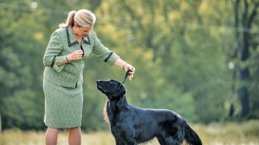 Woman training a black dog.