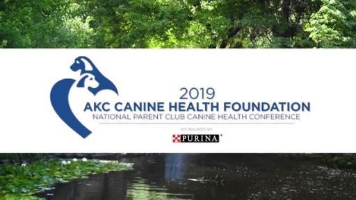 Play Video: Purina & AKC Canine Health Foundation Partner to Benefit Dogs Everywhere