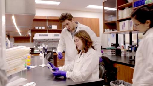 Play Video: Video Scientists Pointing In Lab