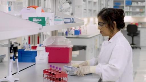 Play Video: B-Roll Package