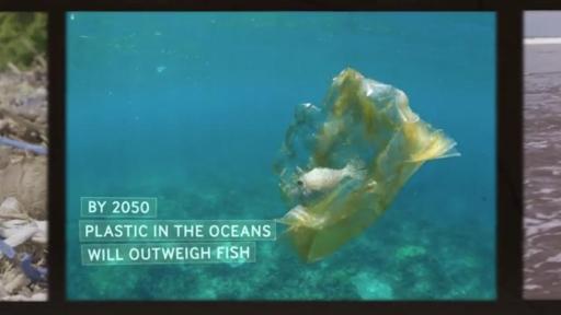 Play Video: SC Johnson and Plastic Bank expand partnership.