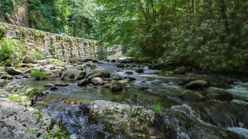 Stream flowing over rocks.