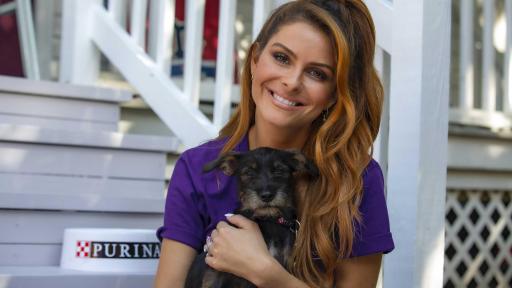 “Nobody should have to choose between their own safety and the safety of their pets,” said Maria Menounos. “That’s why I am humbled to join the Purple Leash Project and lend my voice for those who are suffering in silence with their pets.”