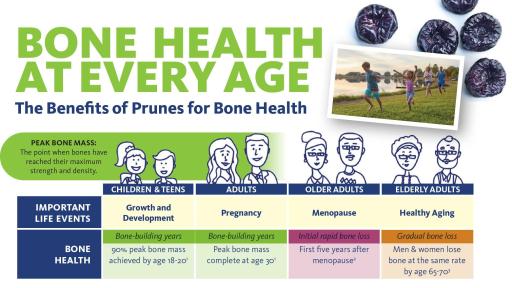 Bone Health at Every Age Infographic