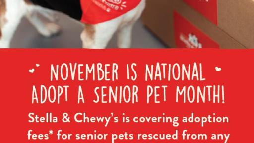 Stella & Chewy's is covering adoption fees for senior pets rescued from any shelter in the USA!