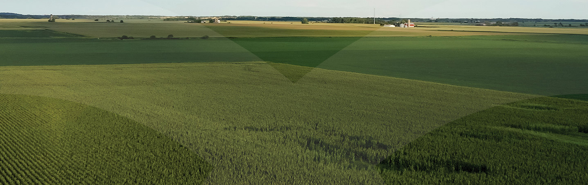 Image of a sprawling farm field