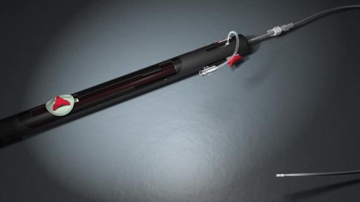 Play Video: Animation - GORE® CARDIOFORM ASD Occluder