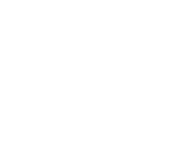 Bloomeffects